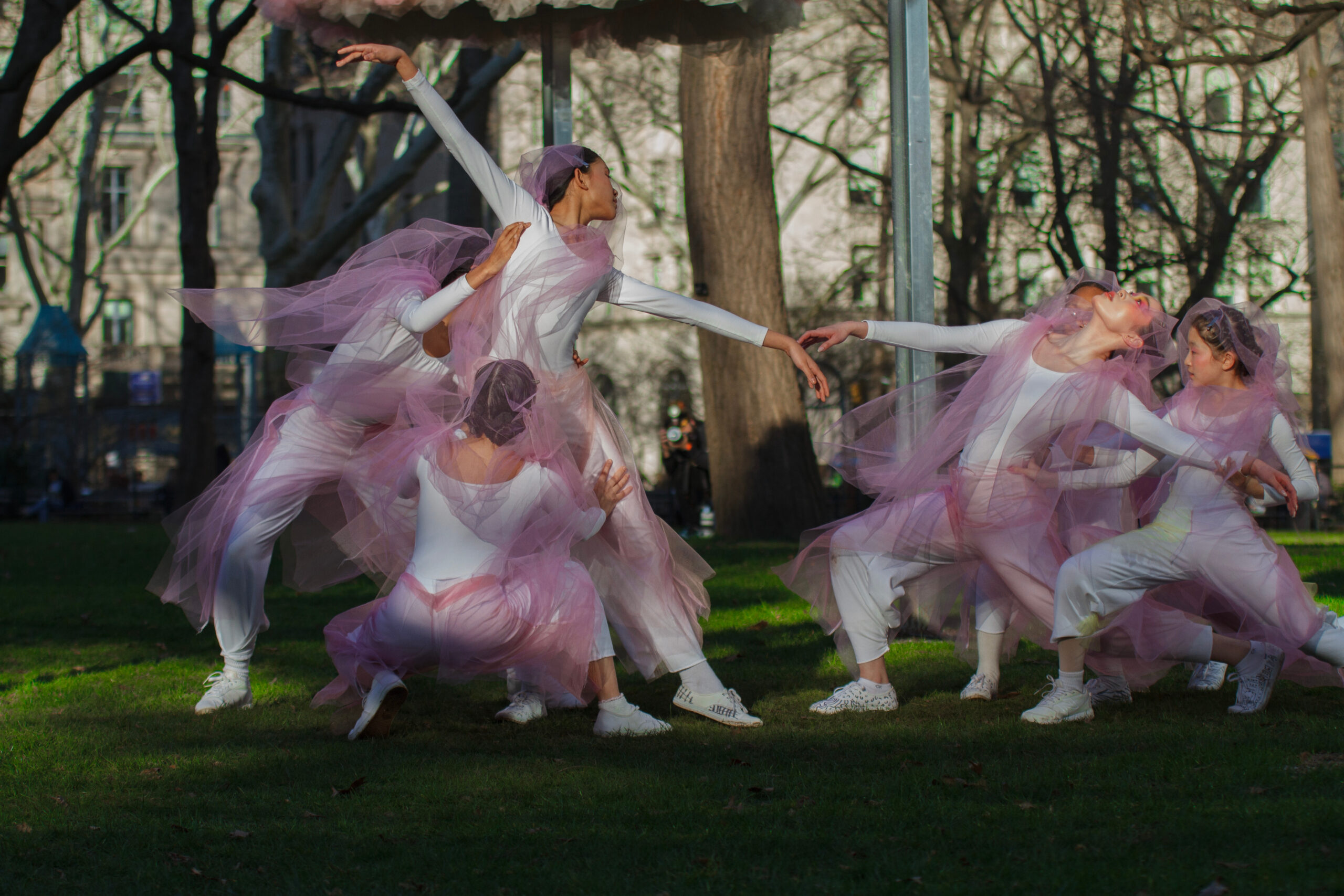 A group of dancers in white costumes with pink veils dance outside in a park, clustered together and reaching their arms outward, forming elegant and graceful shapes.